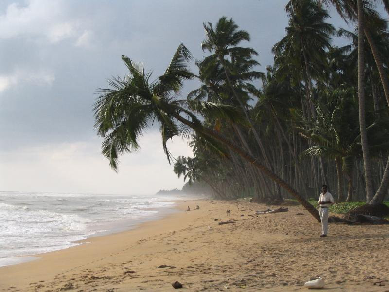 Ваддува, Шри-Ланка, фото № 50787 – фотографии Шри-Ланки