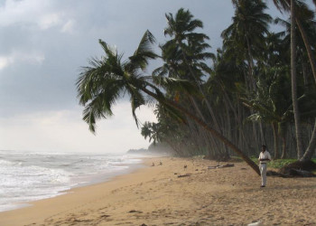 Ваддува, Шри-Ланка, фото № 50787 – фотографии Шри-Ланки