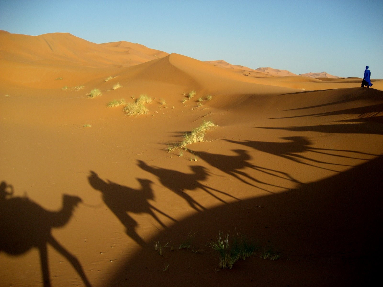 Марокко, фото № 93 – фотографии Марокко