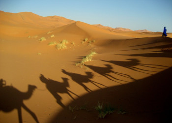 Марокко, фото № 93 – фотографии Марокко