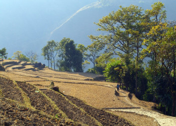 Аннапурна заповедник, Непал, фото № 78888 – фотографии Непала