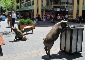 Бронзовые свиньи (Adelaide - Bronze Pig) – фотографии Австралии