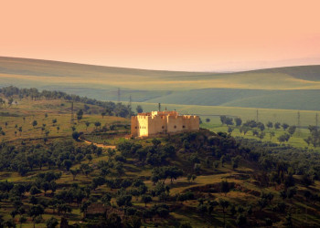 Фес, Марокко, фото № 8408 – фотографии Марокко