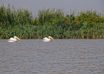 Река в Эфиопии. Фото 3 – фотографии Эфиопии