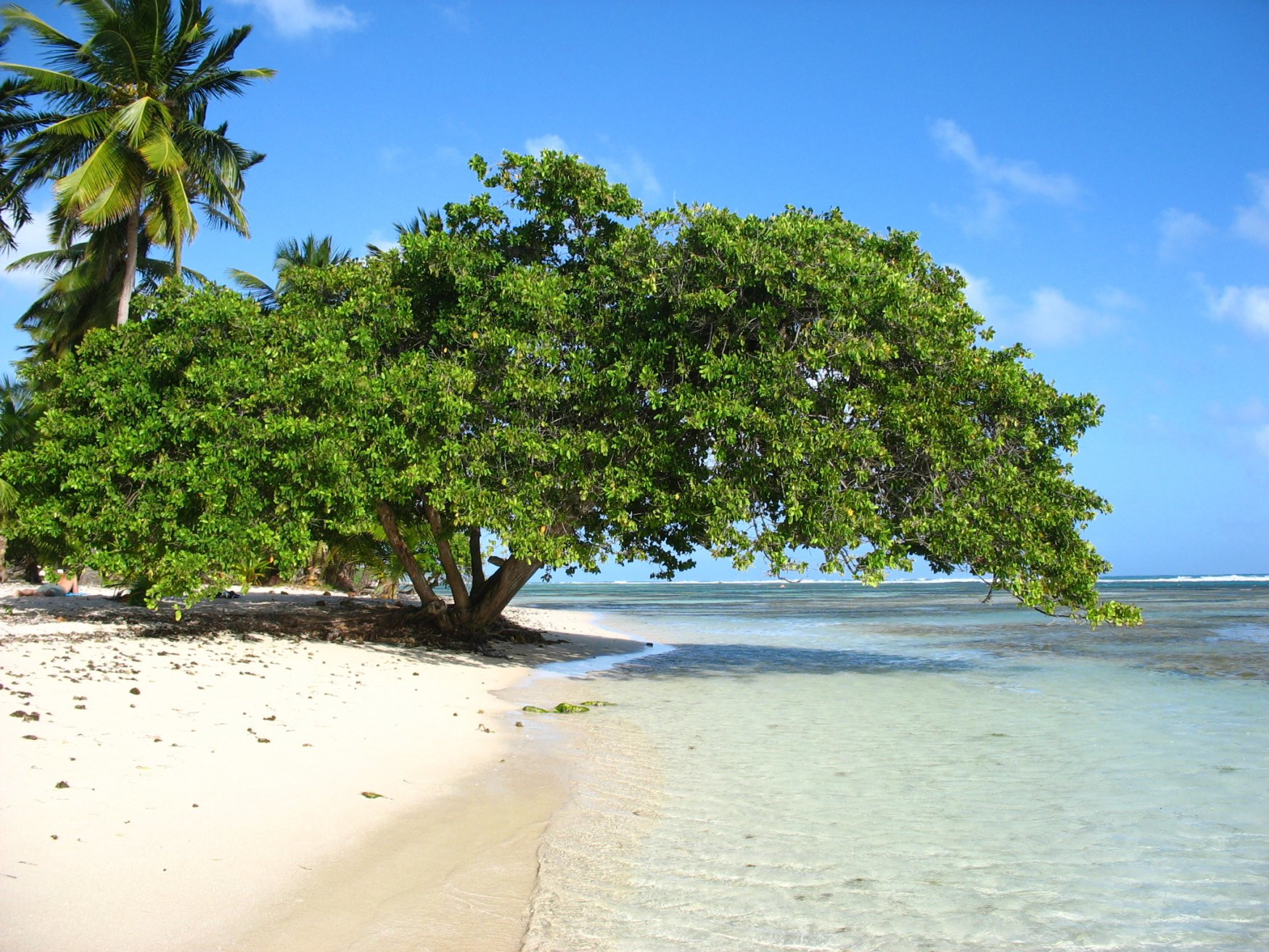 Гваделупа, фото № 3531 – фотографии Гваделупы