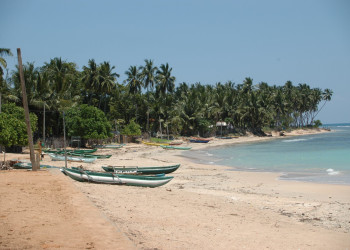 Тринкомали, Шри-Ланка, фото № 52438 – фотографии Шри-Ланки