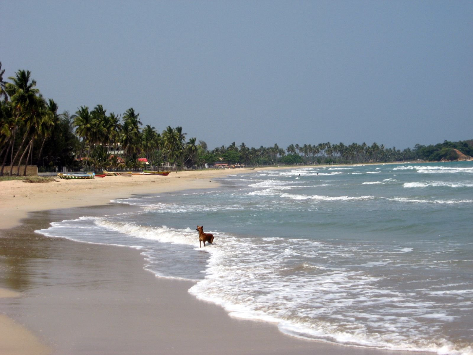 Тринкомали, Шри-Ланка, фото № 52433 – фотографии Шри-Ланки