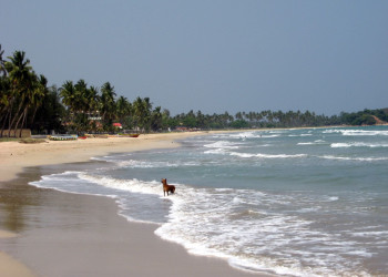 Тринкомали, Шри-Ланка, фото № 52433 – фотографии Шри-Ланки