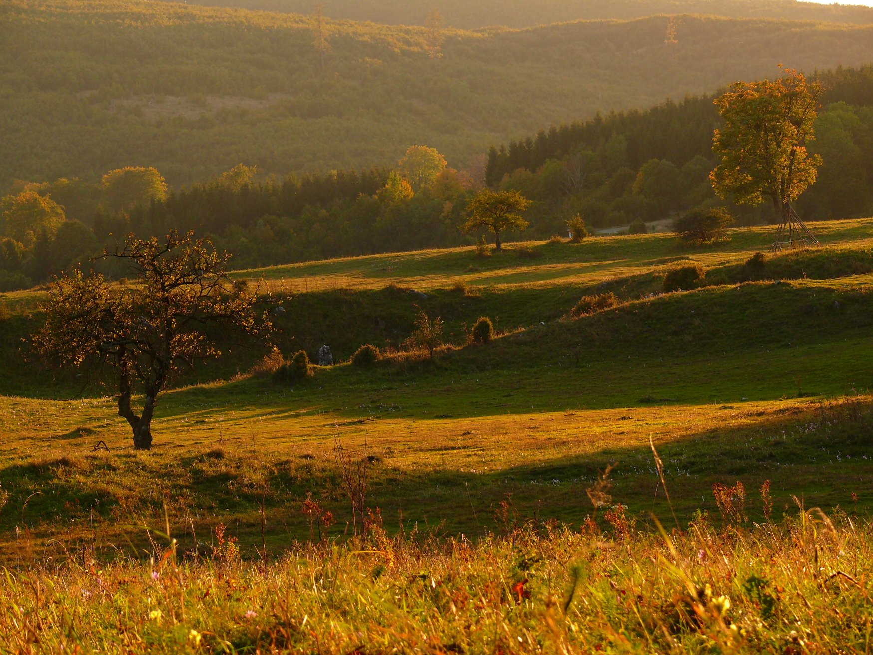 Бюкк Национальный Парк, Венгрия, фото № 70068 – фотографии Венгрии