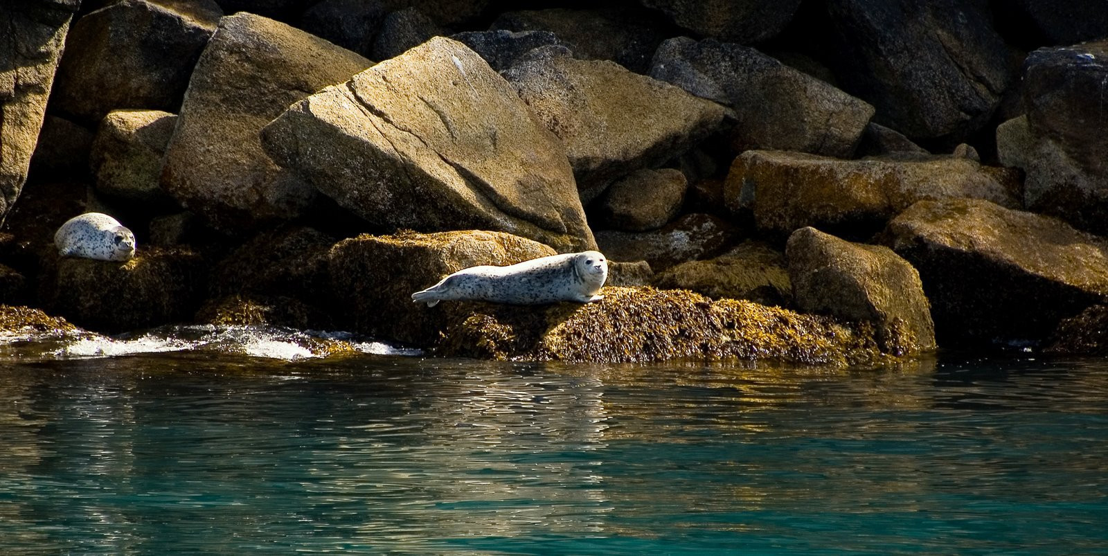 Аляска штат, США, фото № 67663 – фотографии США