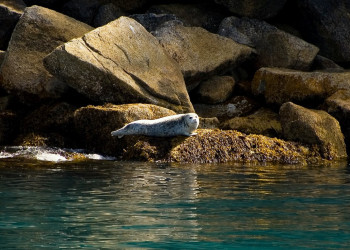 Аляска штат, США, фото № 67663 – фотографии США