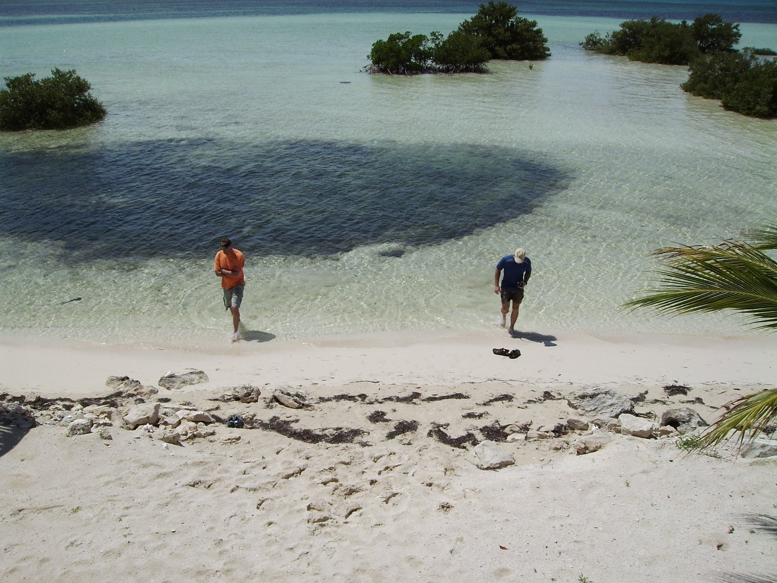 Парни на острове Бимини, Багамские острова – фотографии Багамских островов