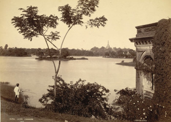 Старый Янгон, фото 1895 года – фотографии Мьянмы