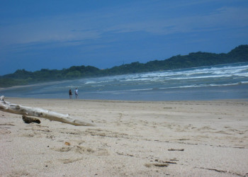 Плайя Носара, Гуанакасте провинция, Коста-Рика, фото № 39643 – фотографии Коста-Рики