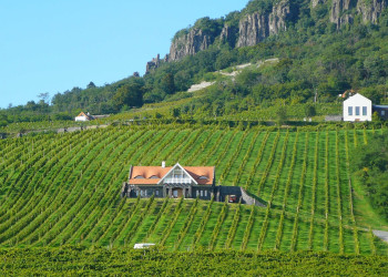 Бадачонь, Балатон озеро, Венгрия, фото № 69718 – фотографии Венгрии