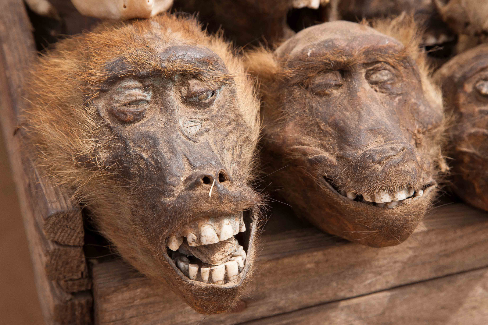 Рынок под названием "fetish market" в Того – фотографии Того