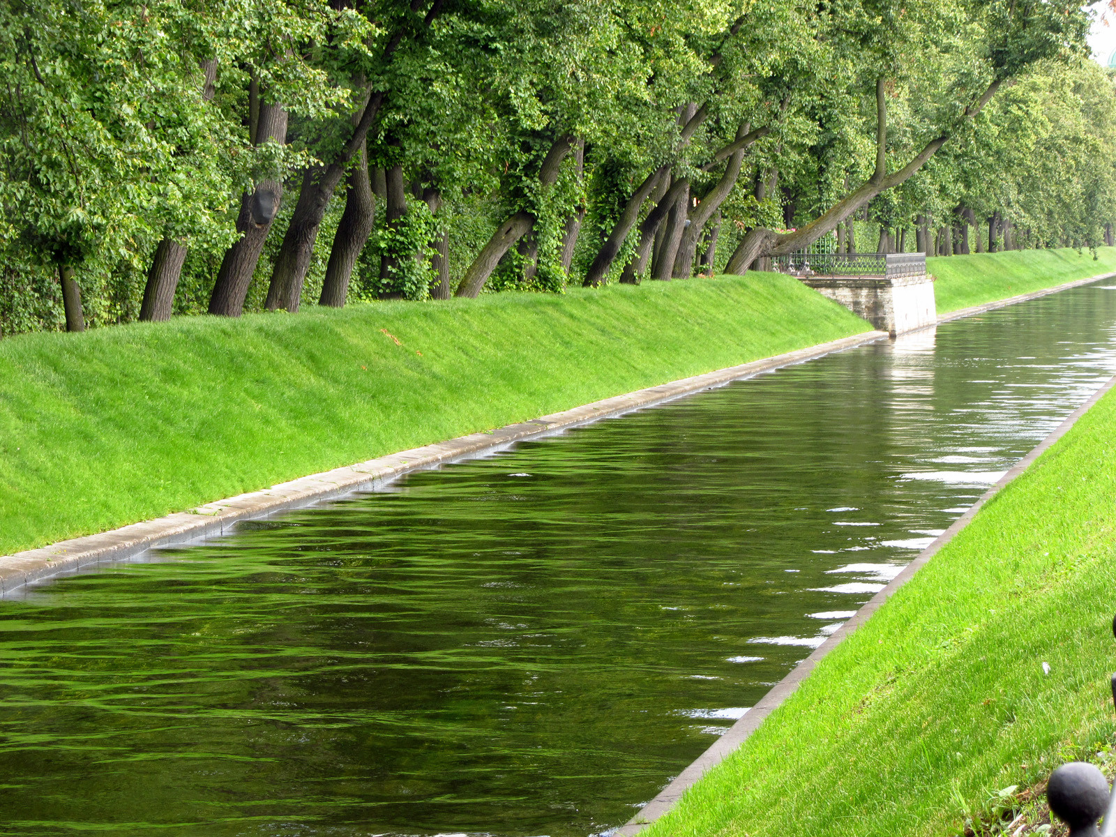 Летний сад, Питер. Фото 1 – фотографии России