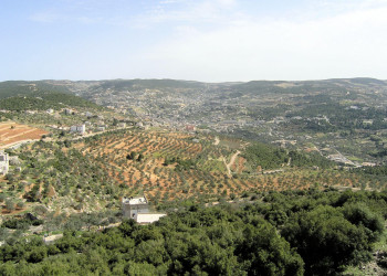 Аджлун, Иордания, фото № 35931 – фотографии Иордании