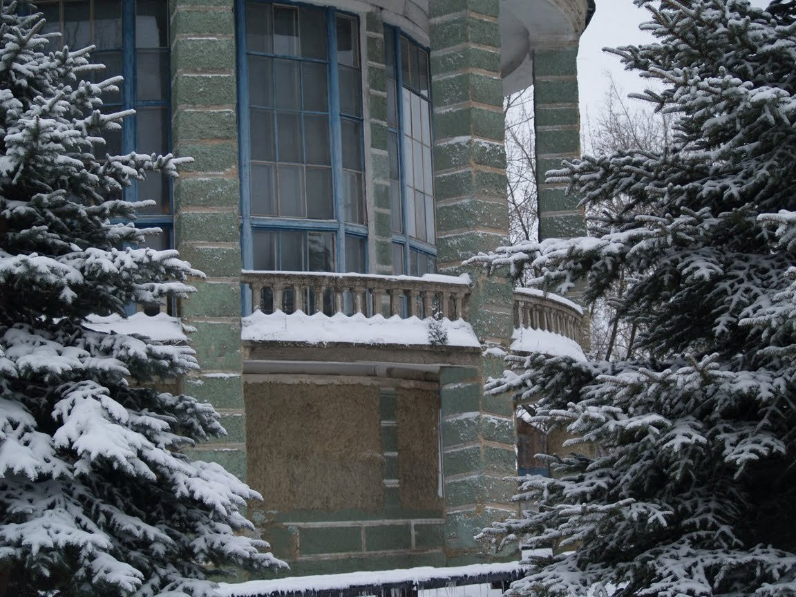 Дом в Задонске, Россия. Фото 4 – фотографии России