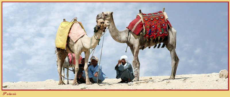 Каир, Египет, фото № 35011 – фотографии Египта