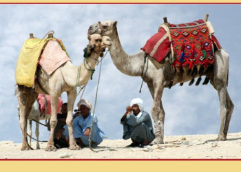 Каир, Египет, фото № 35011 – фотографии Египта