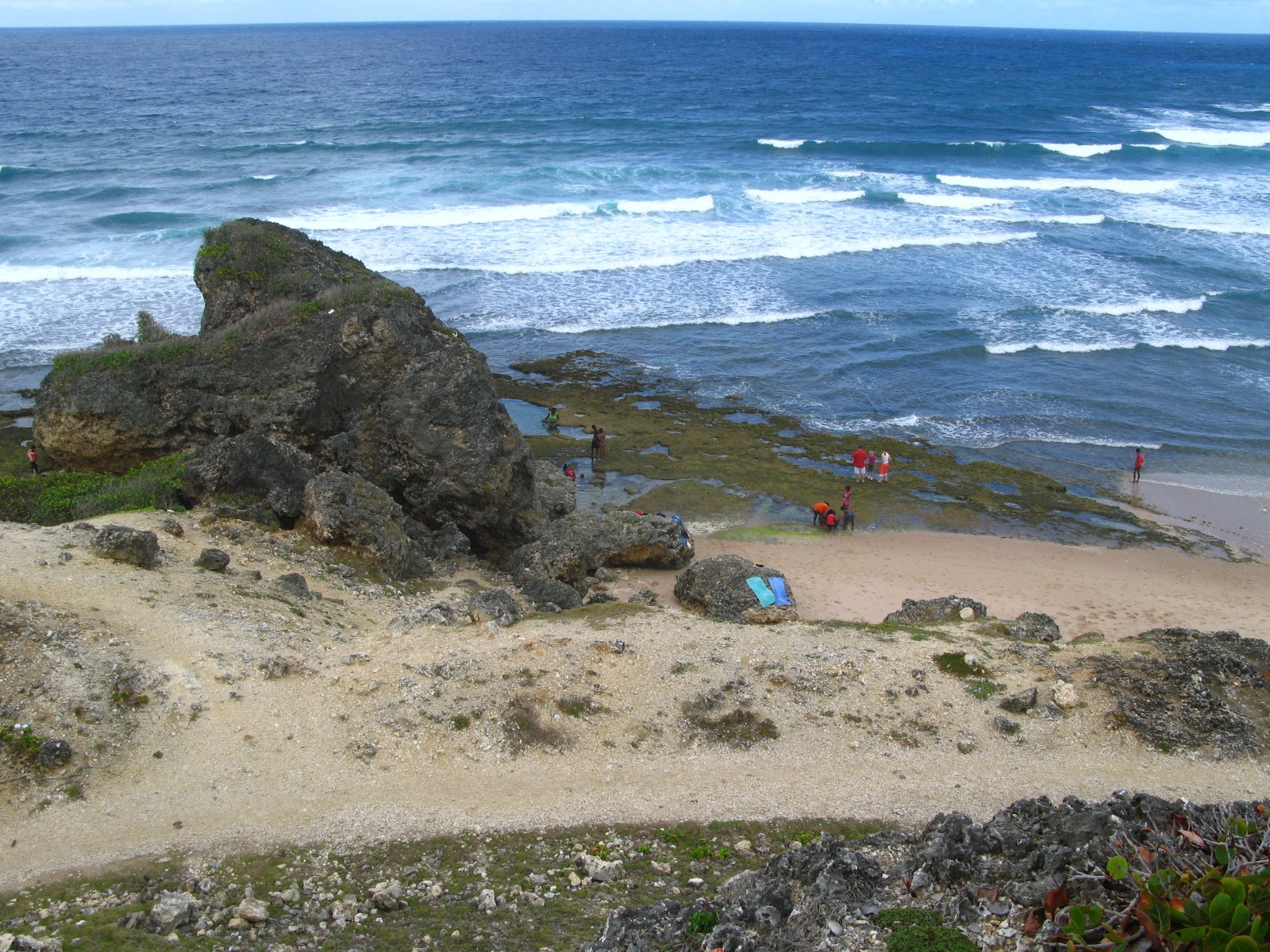 Берег на острове Батшиба, Барбадос. Фото 8 – фотографии Барбадоса