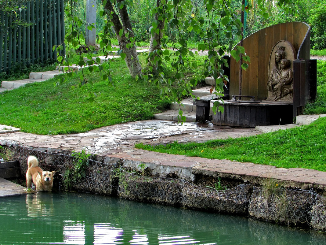 Источник пресвятой богородицы на 37 ключах – фотографии России