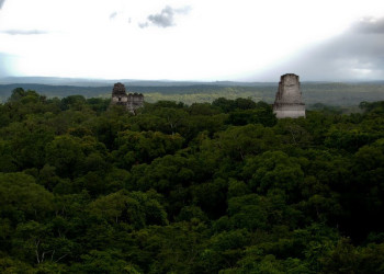 Tikal – фотографии Гватемалы