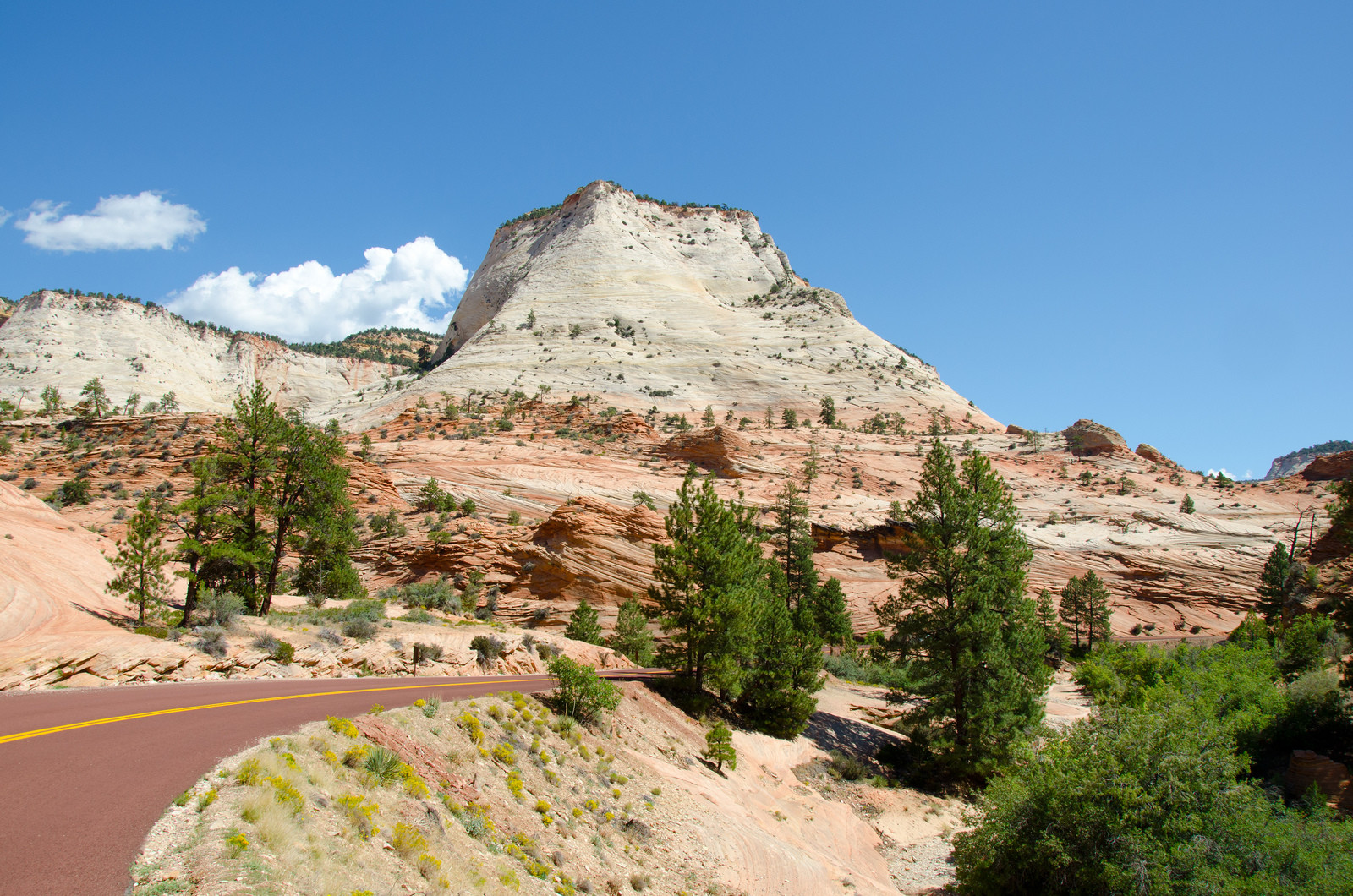Национальный парк Зайон (Zion National Park) в США. Фото 3 – фотографии США
