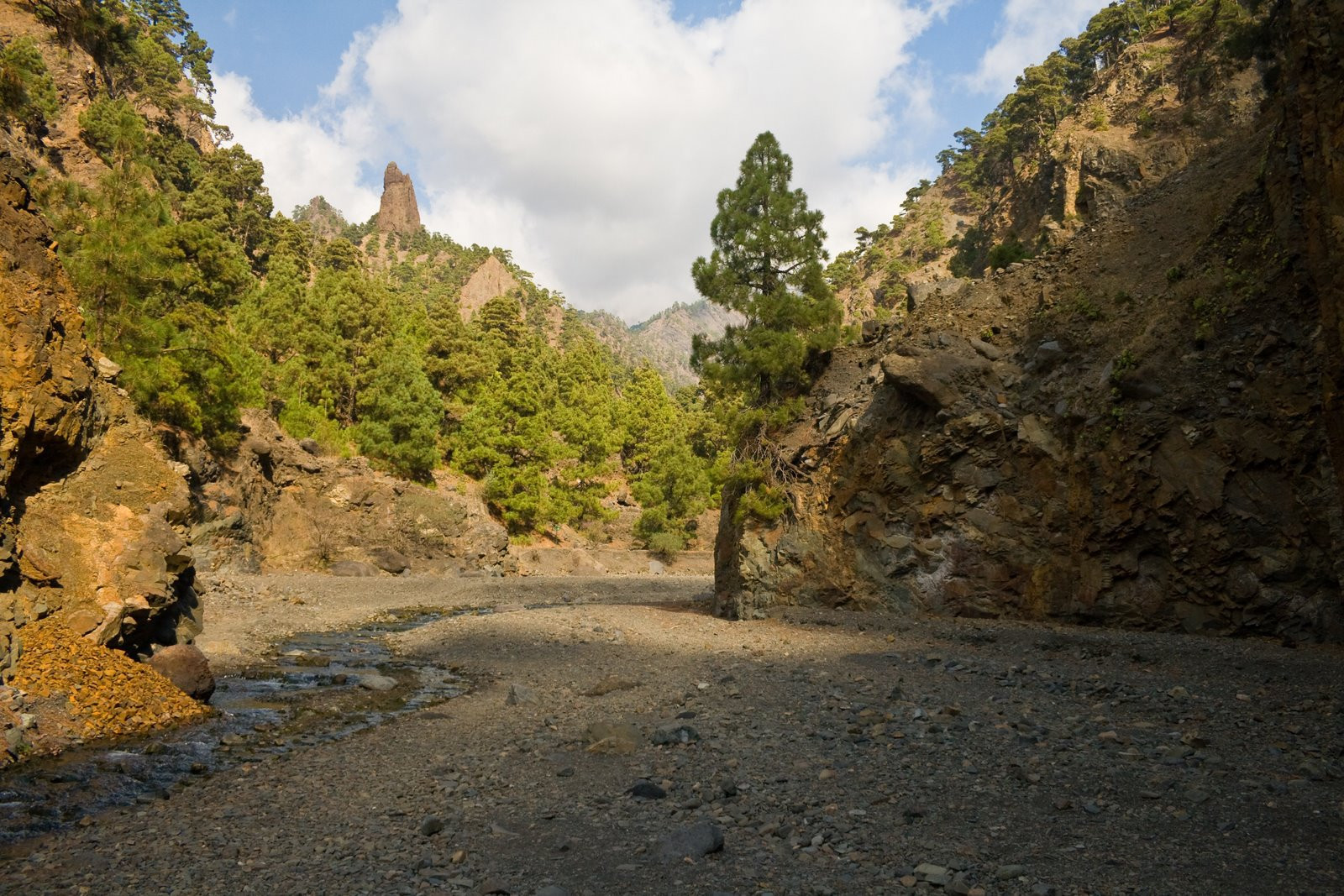 Ла-Пальма остров, Канарские острова, фото № 32032 – фотографии Канарских островов