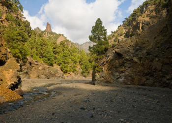 Ла-Пальма остров, Канарские острова, фото № 32032 – фотографии Канарских островов