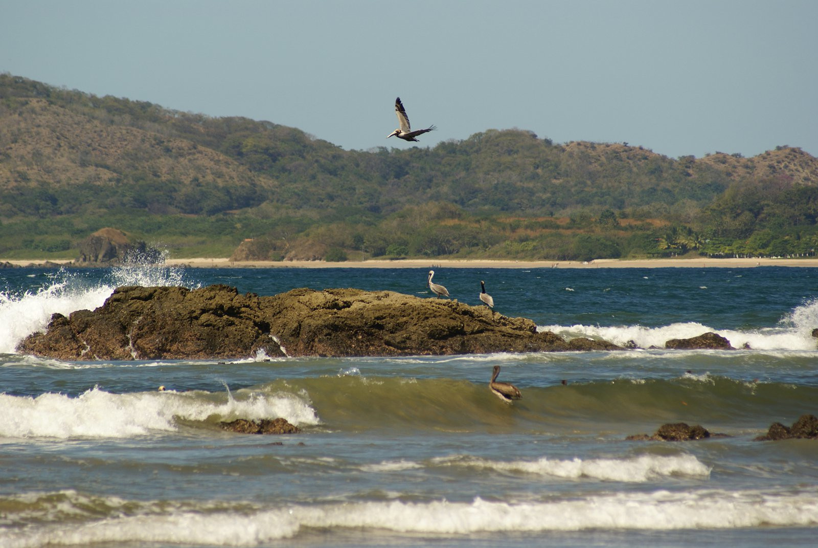 Тамариндо, Гуанакасте провинция, Коста-Рика, фото № 39959 – фотографии Коста-Рики