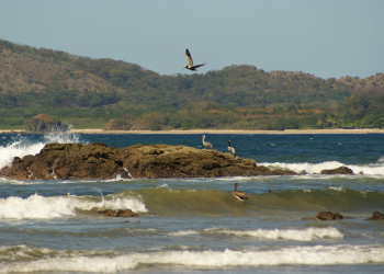 Тамариндо, Гуанакасте провинция, Коста-Рика, фото № 39959 – фотографии Коста-Рики