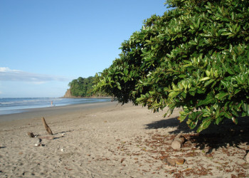 Самара, Гуанакасте провинция, Коста-Рика, фото № 39902 – фотографии Коста-Рики