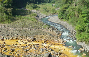 Браулио Каррильо Национальный Парк, Эредия провинция, Коста-Рика, фото № 40002 – фотографии Коста-Рики