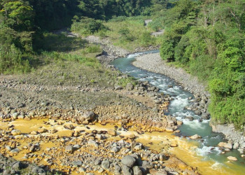 Браулио Каррильо Национальный Парк, Эредия провинция, Коста-Рика, фото № 40002 – фотографии Коста-Рики