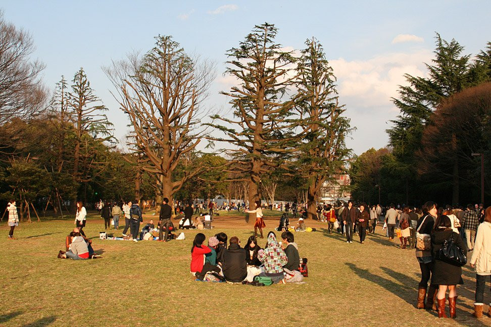 Tokyo – фотографии Японии