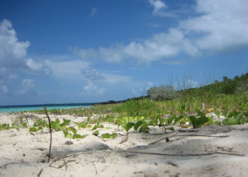 Песок в Кайо-Санта- Мария, Куба – фотографии Кубы