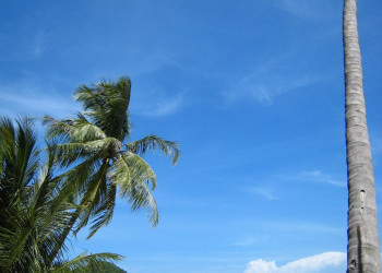 Пляж на острове Тао, Тайланд. Фото 2 – фотографии Таиланда