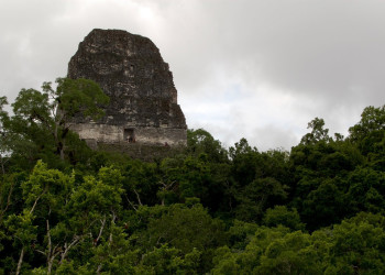 Tikal – фотографии Гватемалы