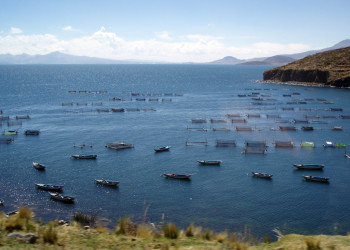 Озеро Титикака – горное озеро в Андах – фотографии Перу