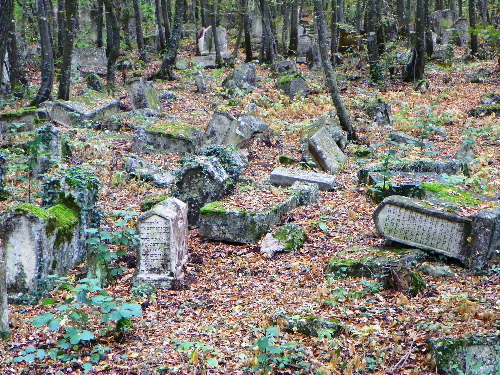 Караимское кладбище в Бахчисарае. Фото 1 – фотографии России