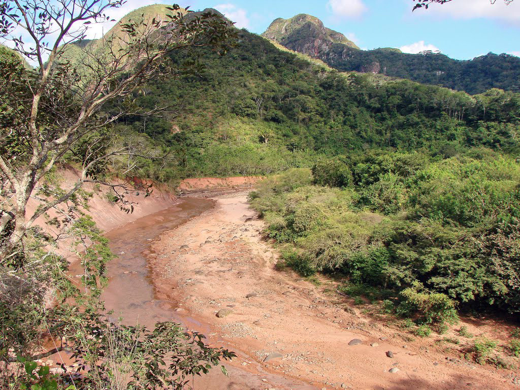 Национальный парк Амборо в Боливии – фотографии Боливии