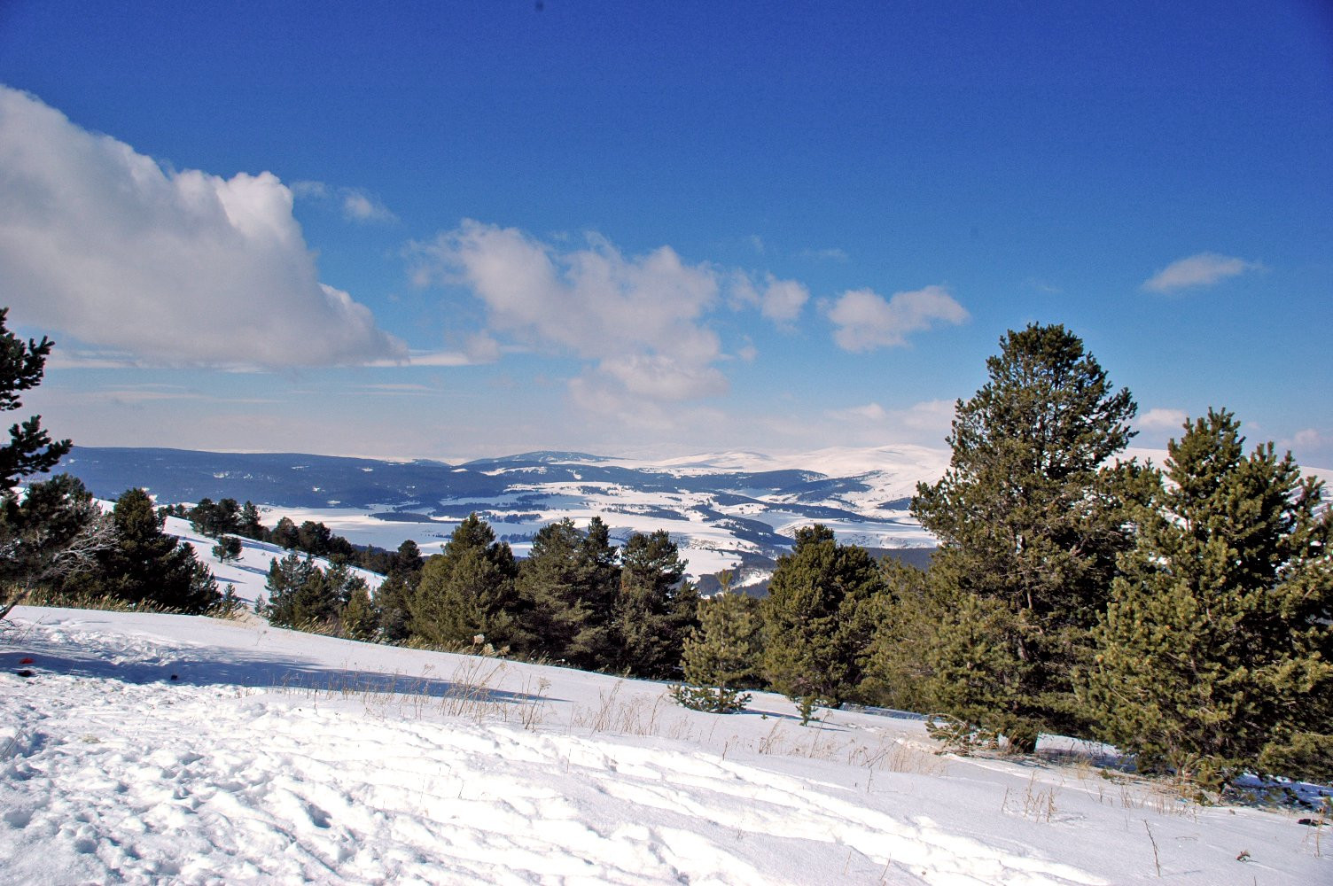 Сарыкамыш, Восточная Анатолия регион, Турция, фото № 46509 – фотографии Турции