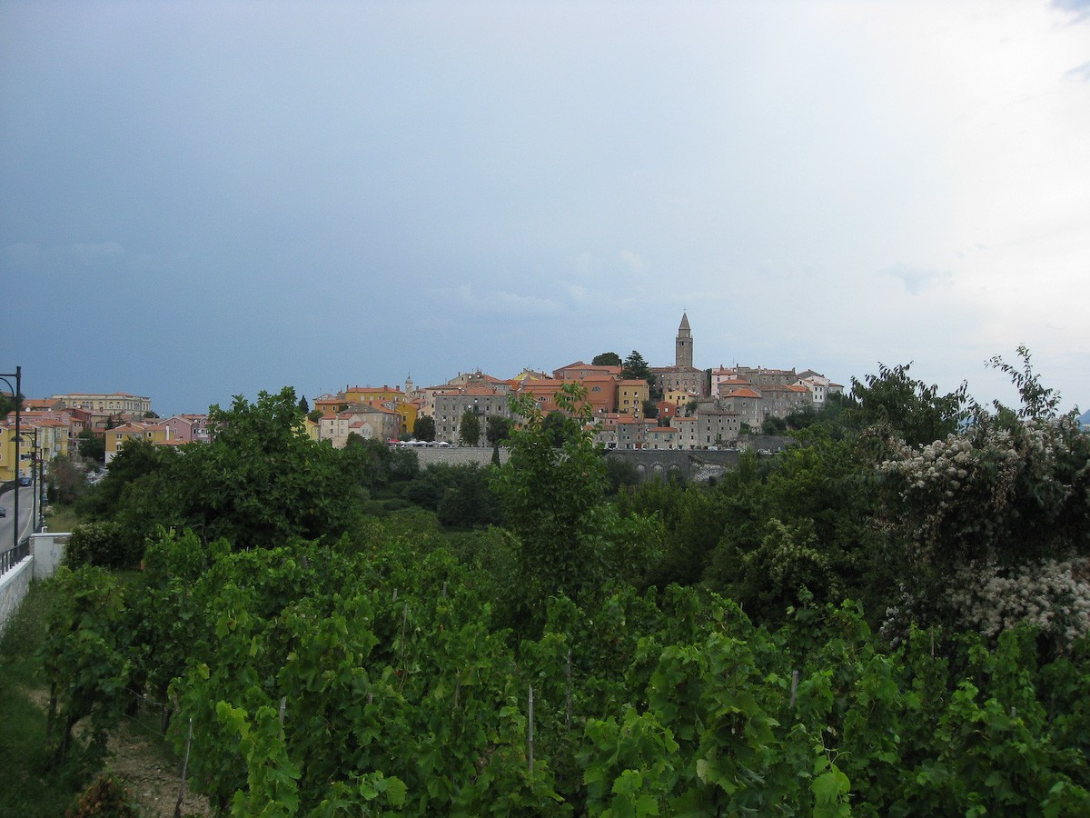 Природа в Лабине, Хорватия. Фото 1 – фотографии Хорватии