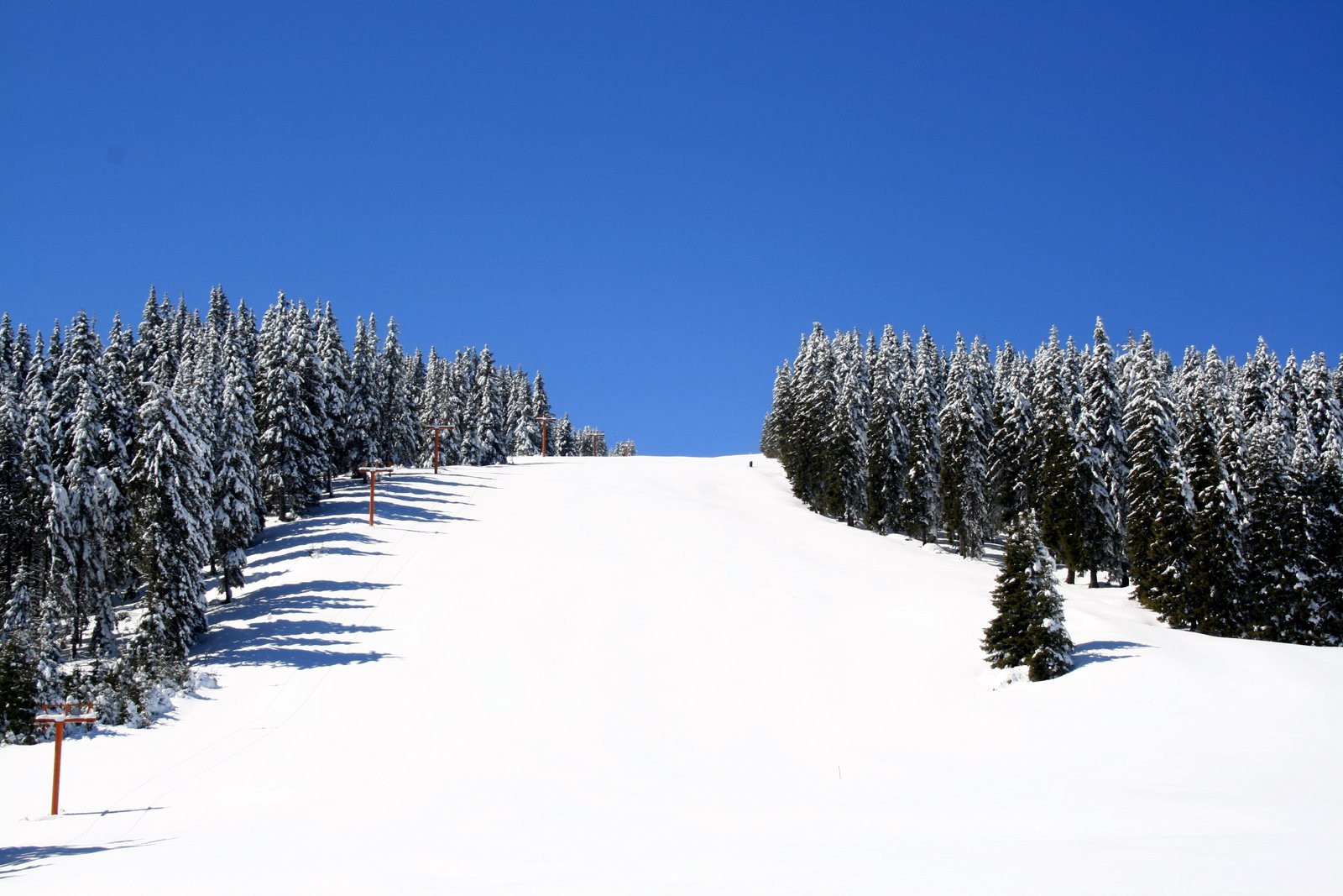 Природа в Пампорово, Болгария. Фото 6 – фотографии Болгарии