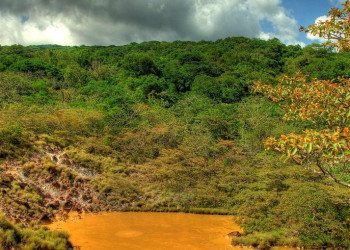 Ринкон де ла Виеха Национальный Парк, Гуанакасте провинция, Коста-Рика, фото № 39268 – фотографии Коста-Рики