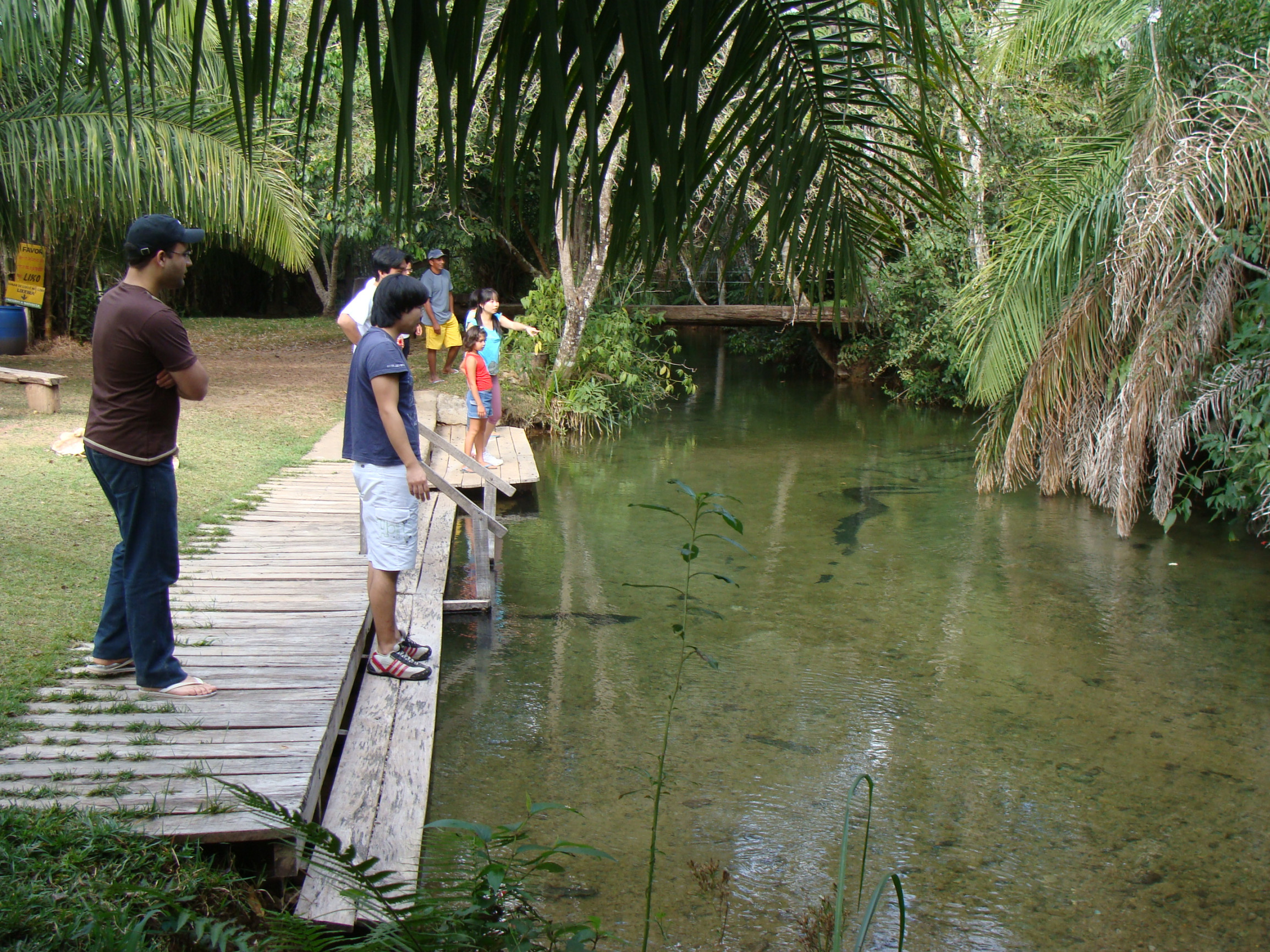 Бониту – фотографии Бразилии