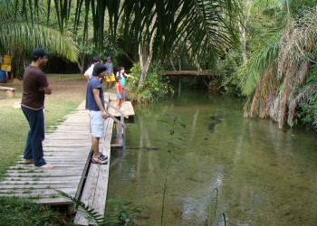 Бониту – фотографии Бразилии