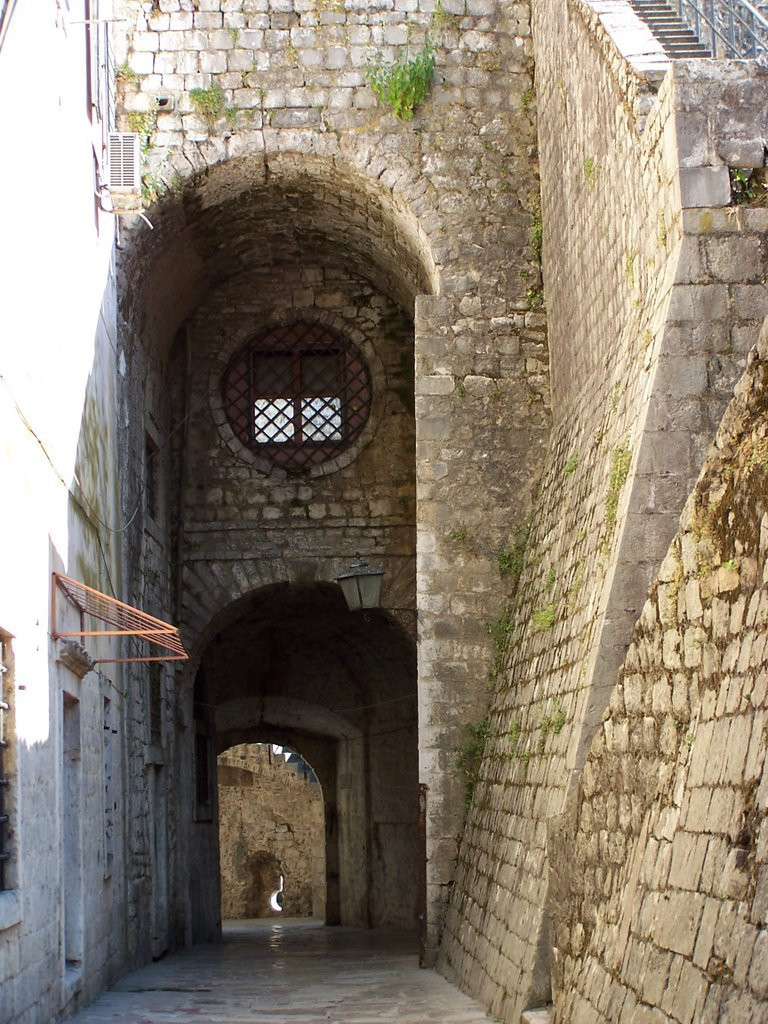 Улица в Котор, Черногория. Фото 6 – фотографии Черногории